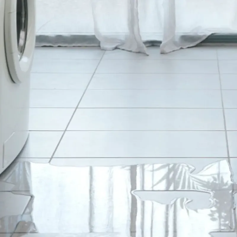 Appliance Leak Cleanup in Eldorado, TX