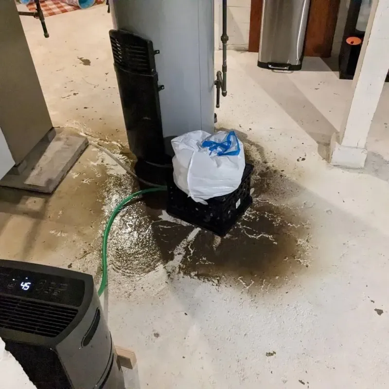 Sewage Backup Cleanup Service in Eldorado, TX